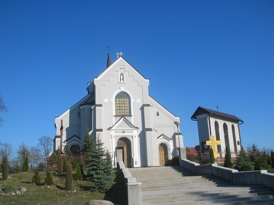 Brzóza Królewska