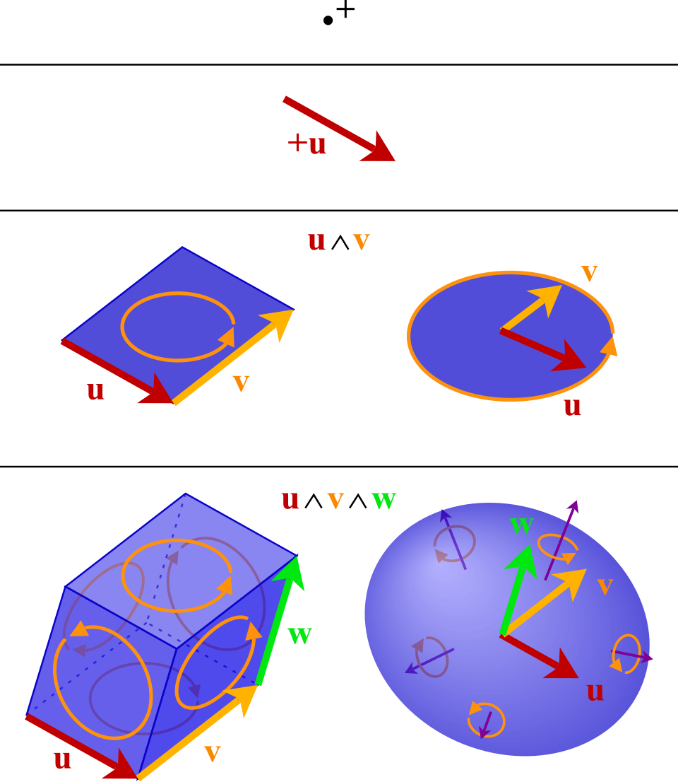 multivector
