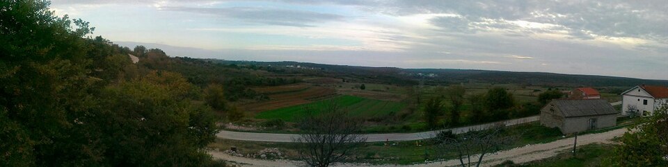 Radovin