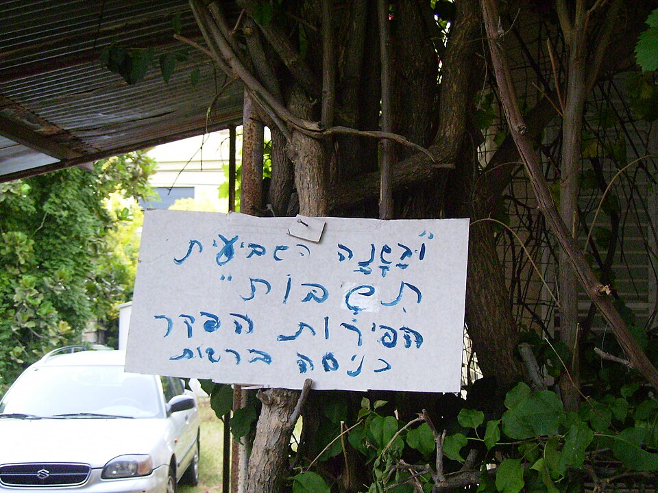 Shmita
