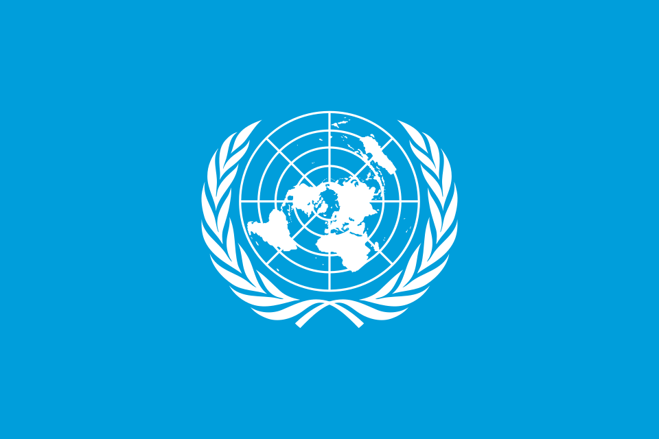 World Development Information Day
