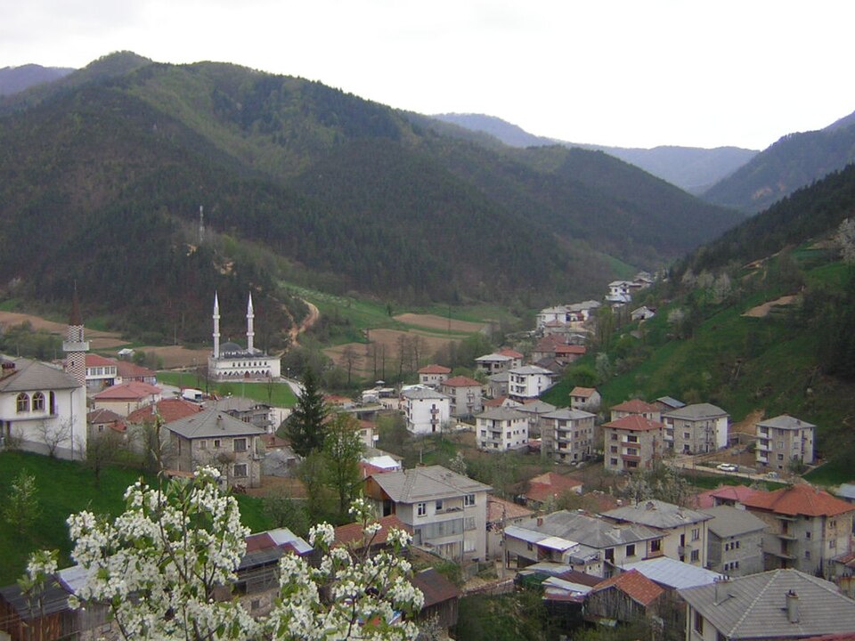 Chepintsi