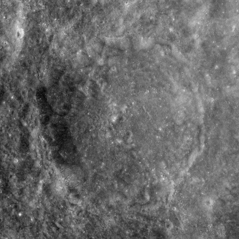 Vesalius