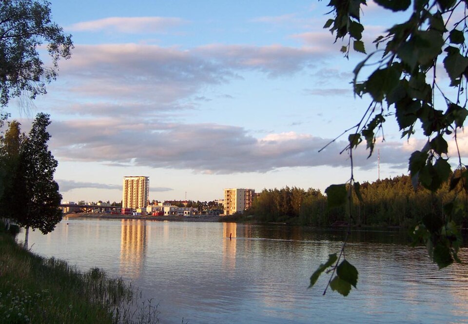 Pielisjoki