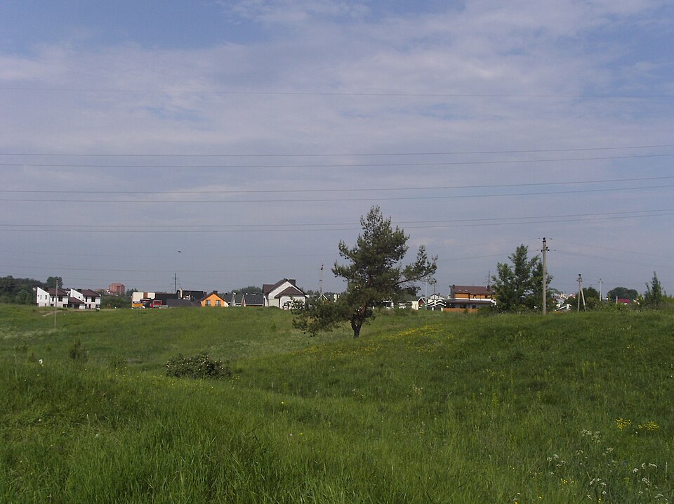 Zujūnai