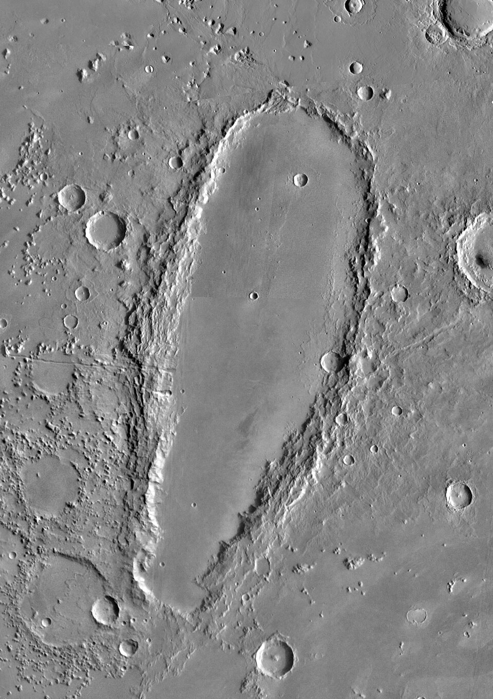 patera