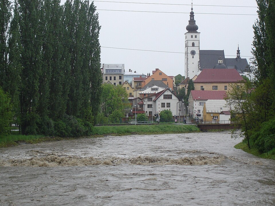 Lubina