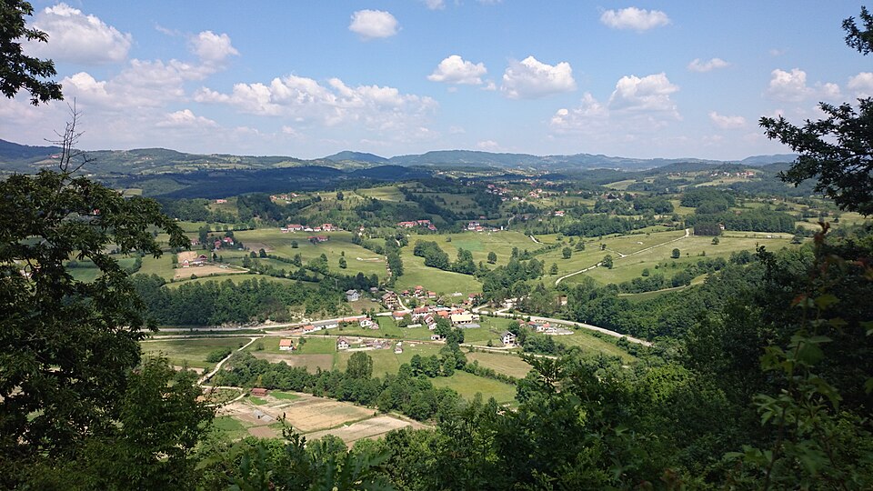 Tubići