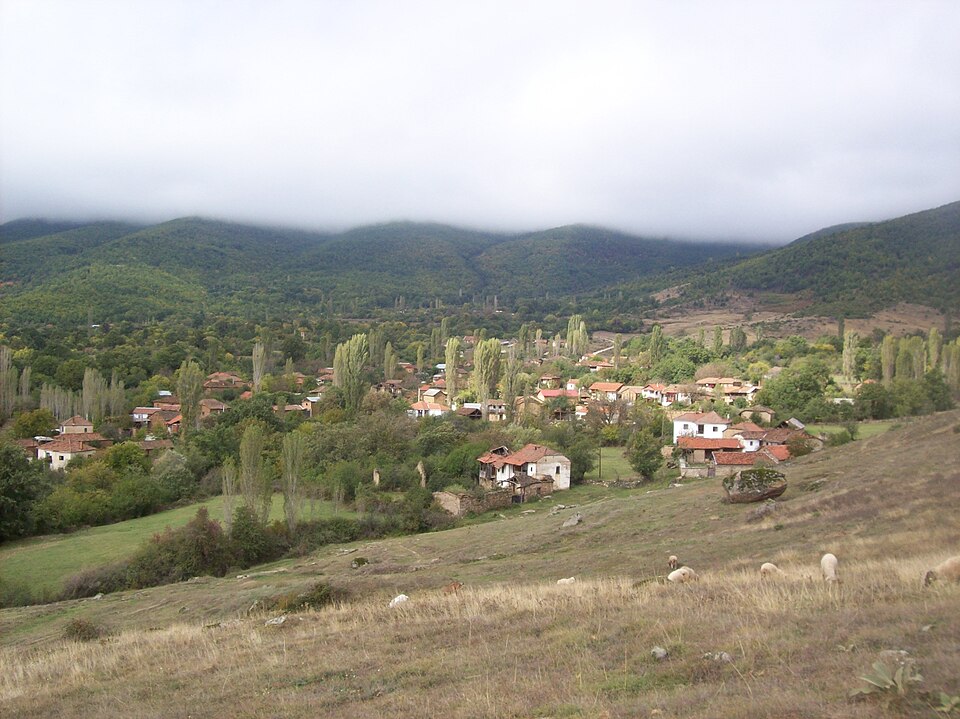 Dolgaec
