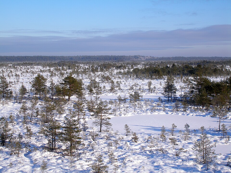 Põhja-Kõrvemaa Nature Reserve