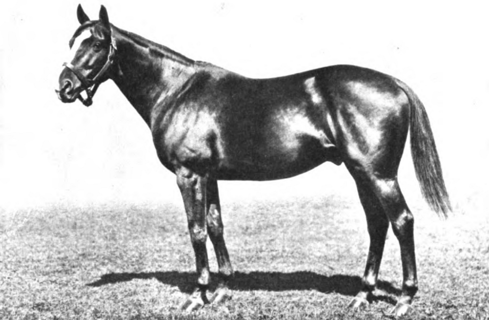 Sir Barton