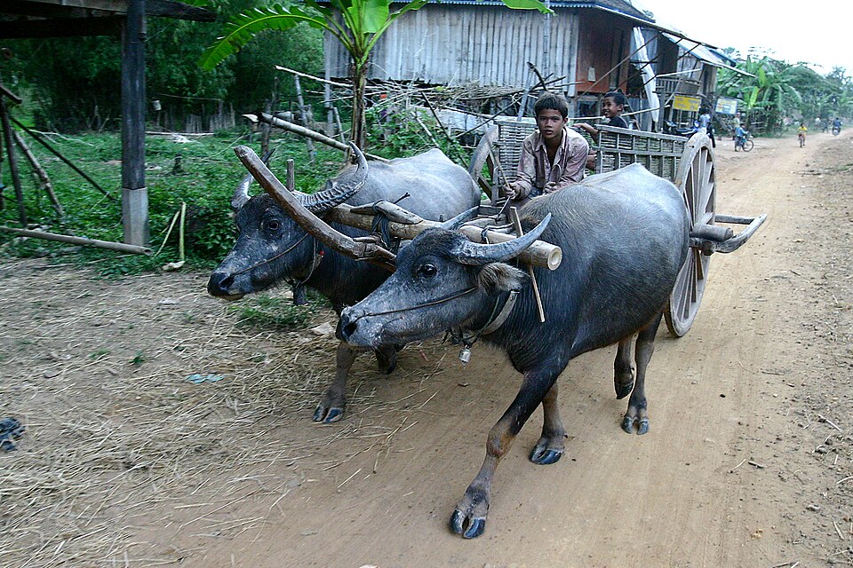 Stung Treng Province