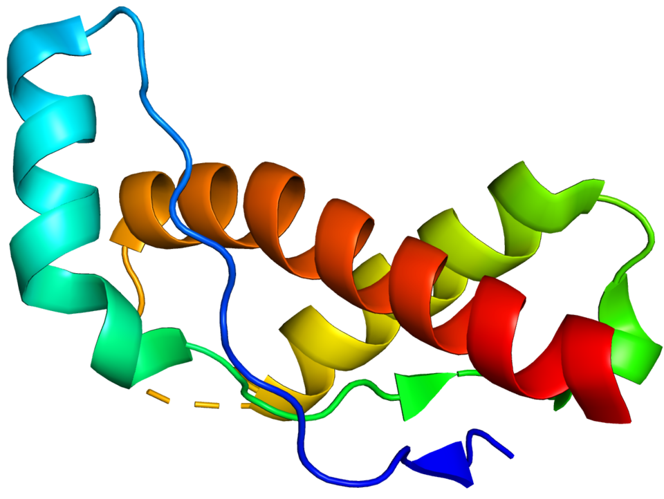 PRNP