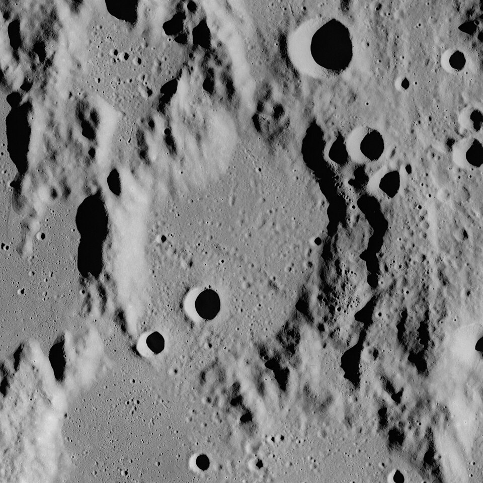 Palisa