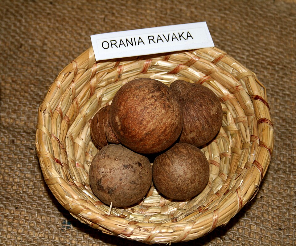 Orania