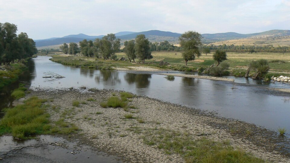 Topolnitsa