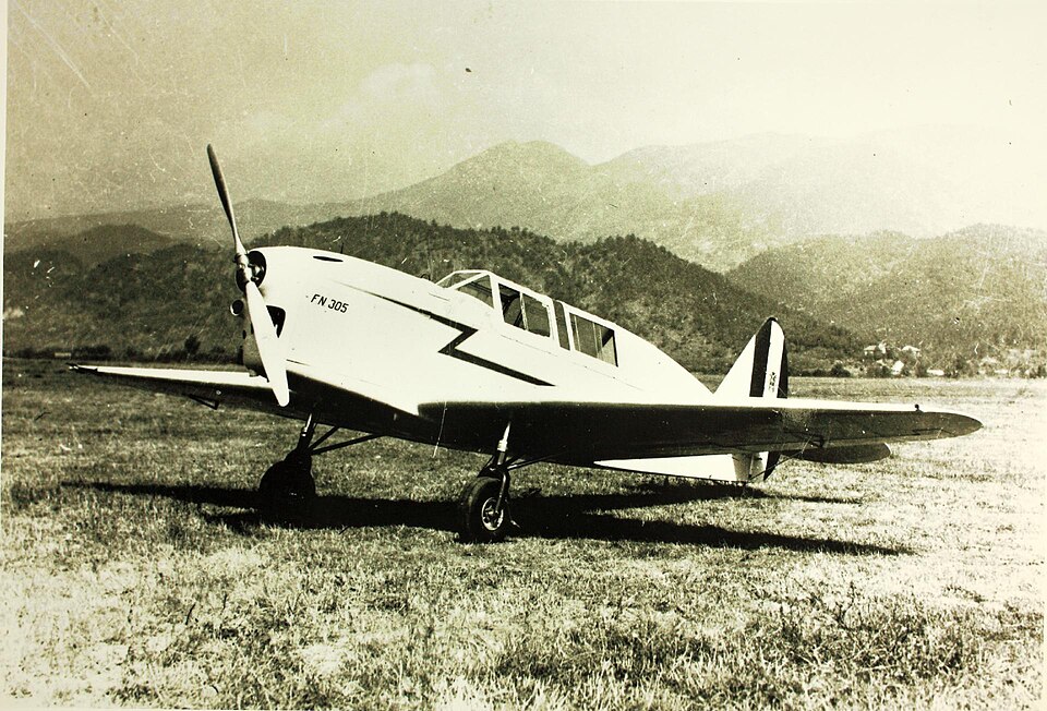 Nardi FN.305