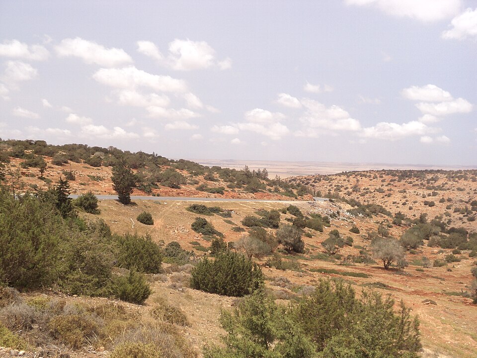 Marj District