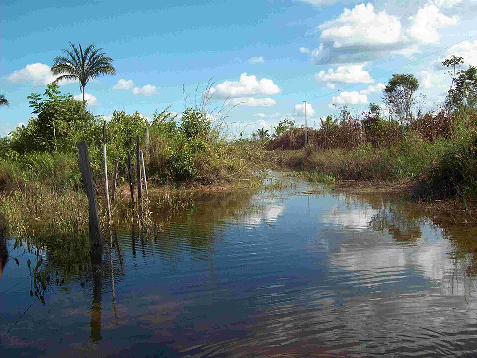 Santana do Araguaia