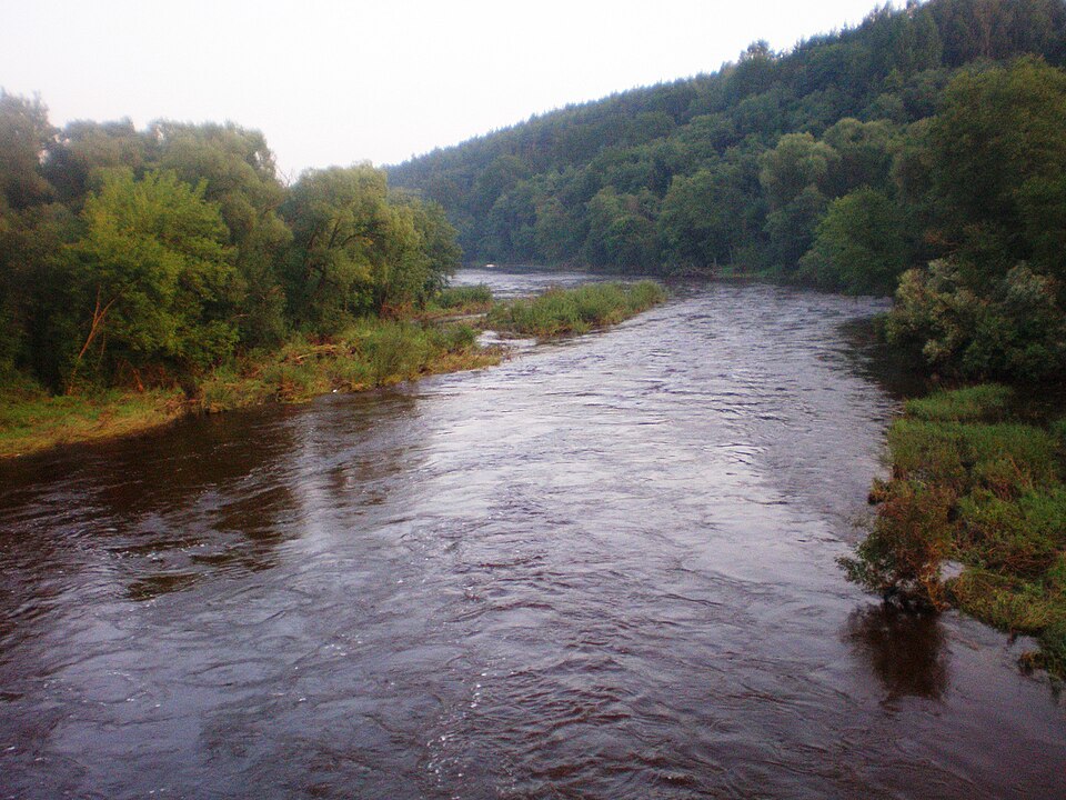 Dubysa