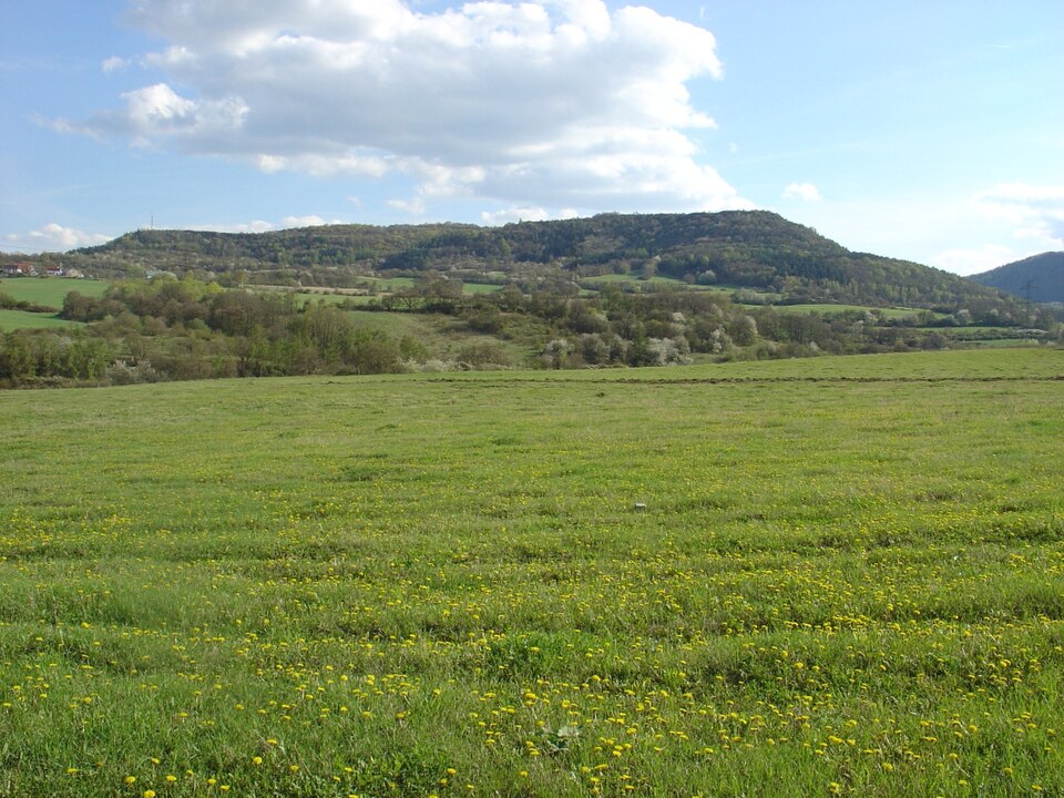 Doupov Mountains