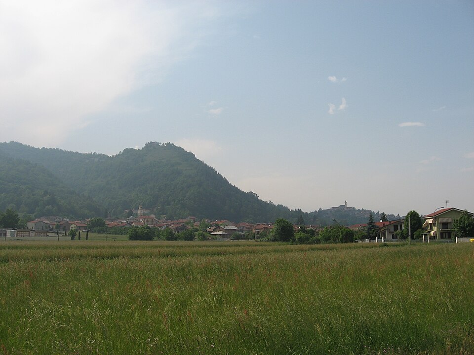 Vignolo