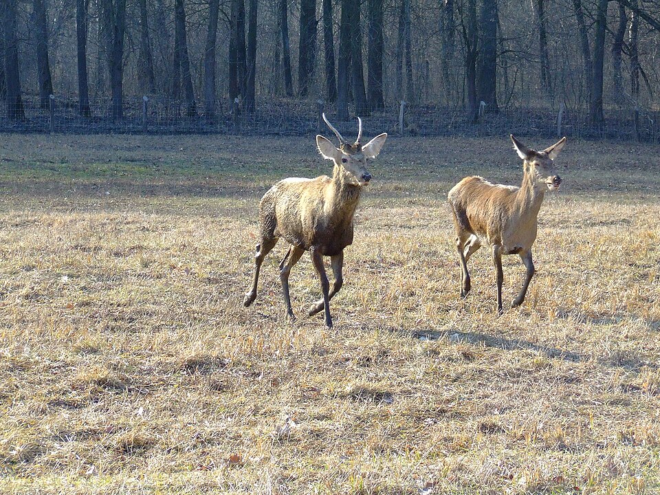 Danube-Drava National Park