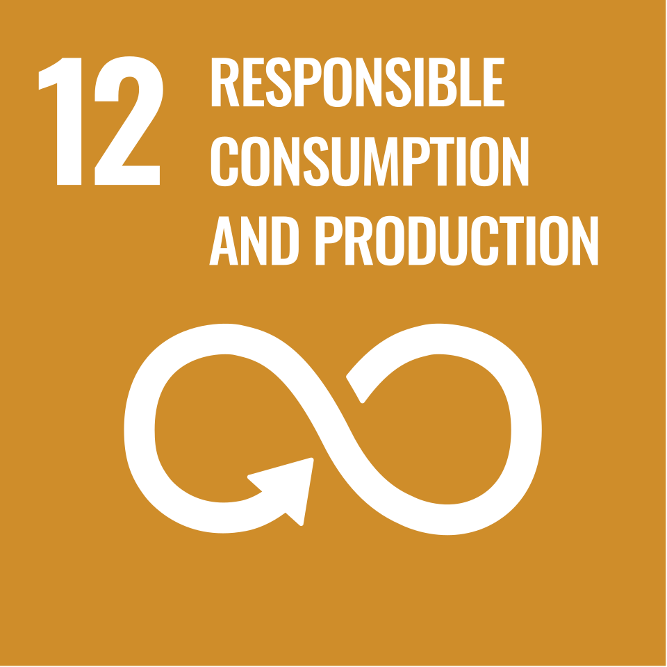 Sustainable Development Goal 12