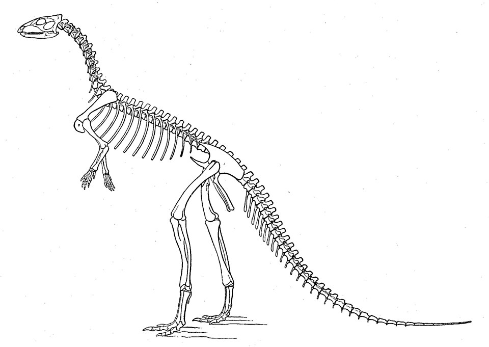 Othnielosaurus