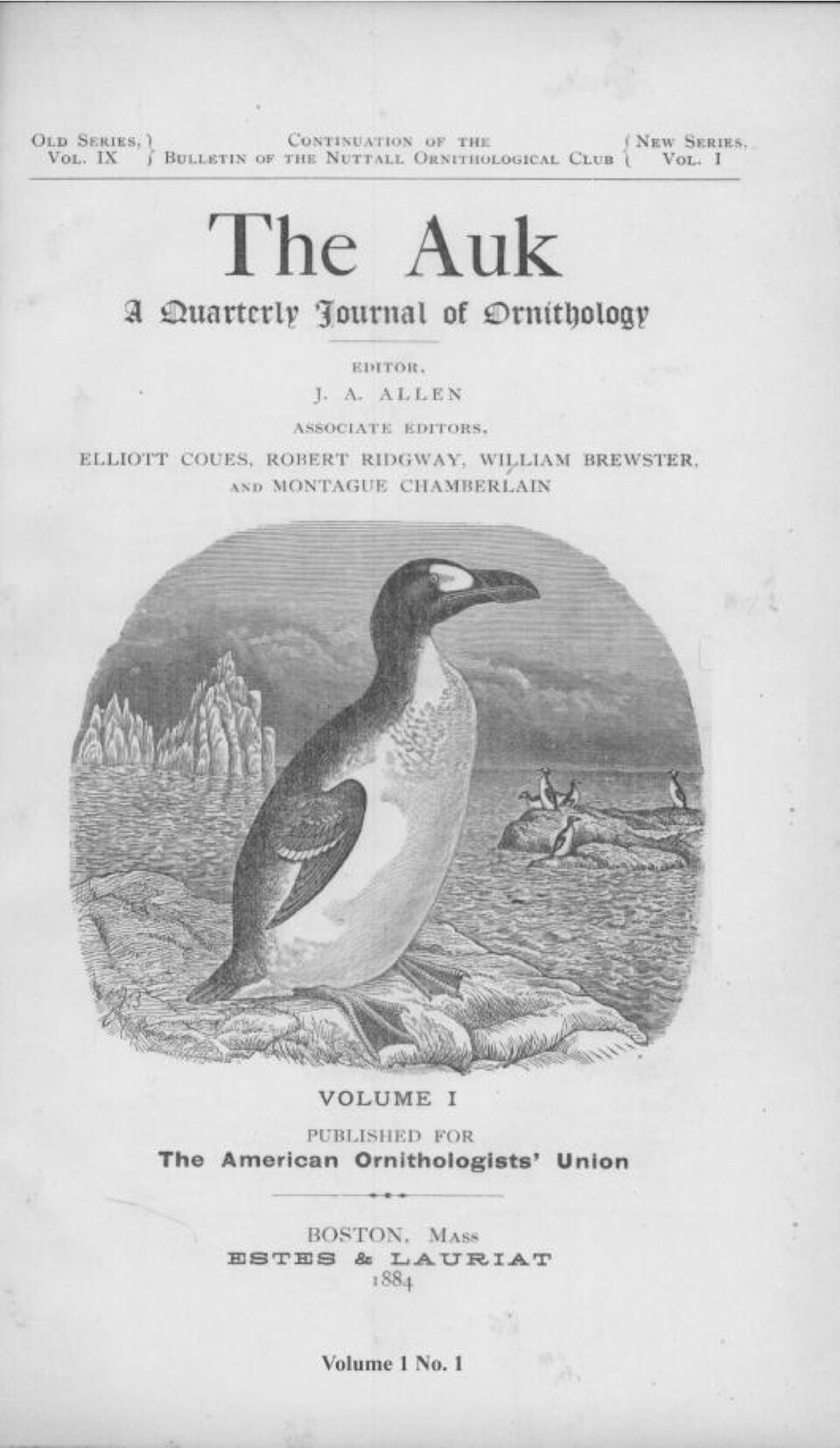 The Auk