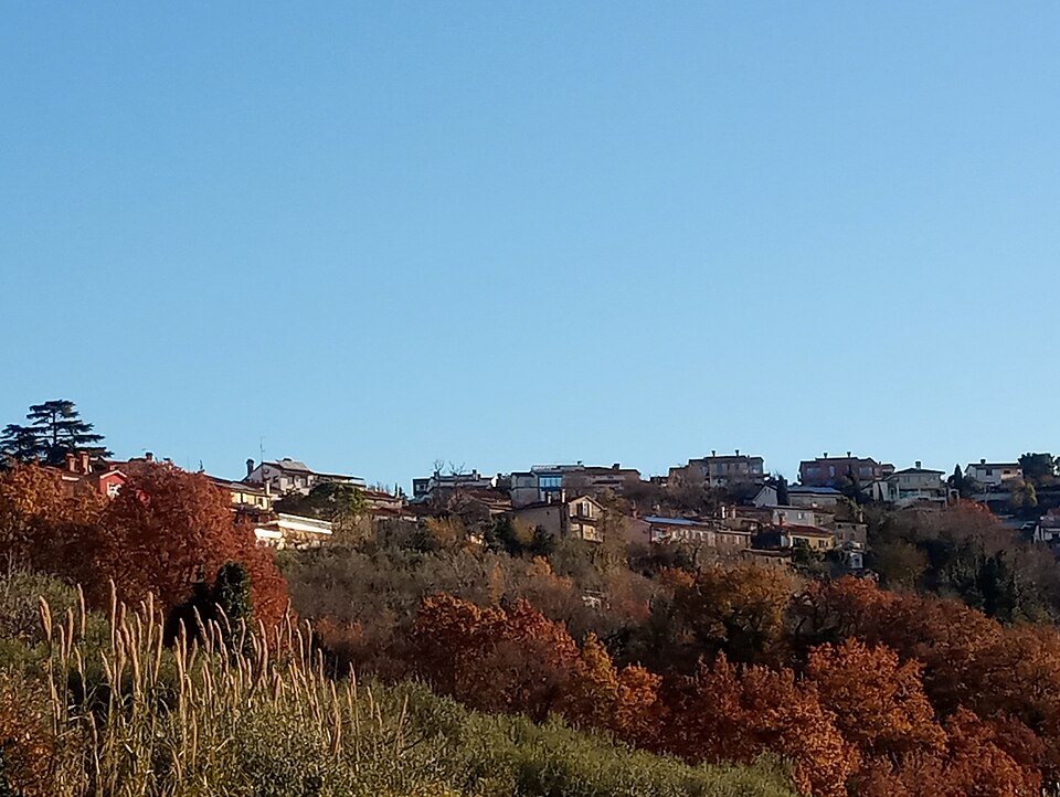Malija