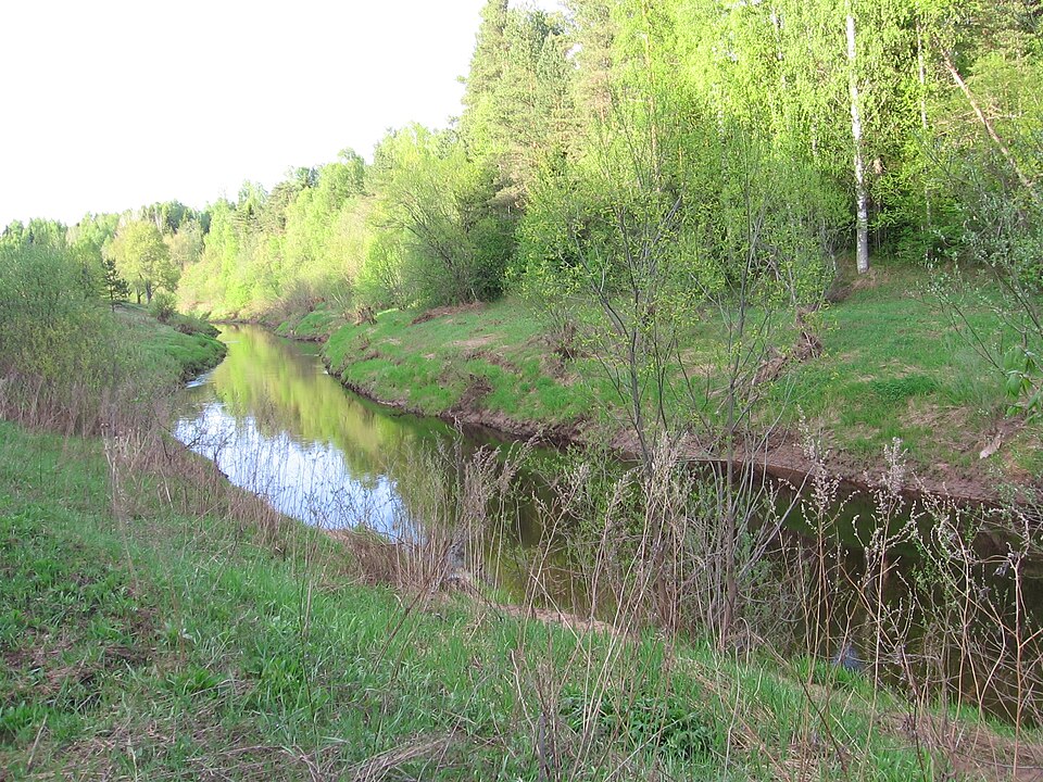 Pchyovzha