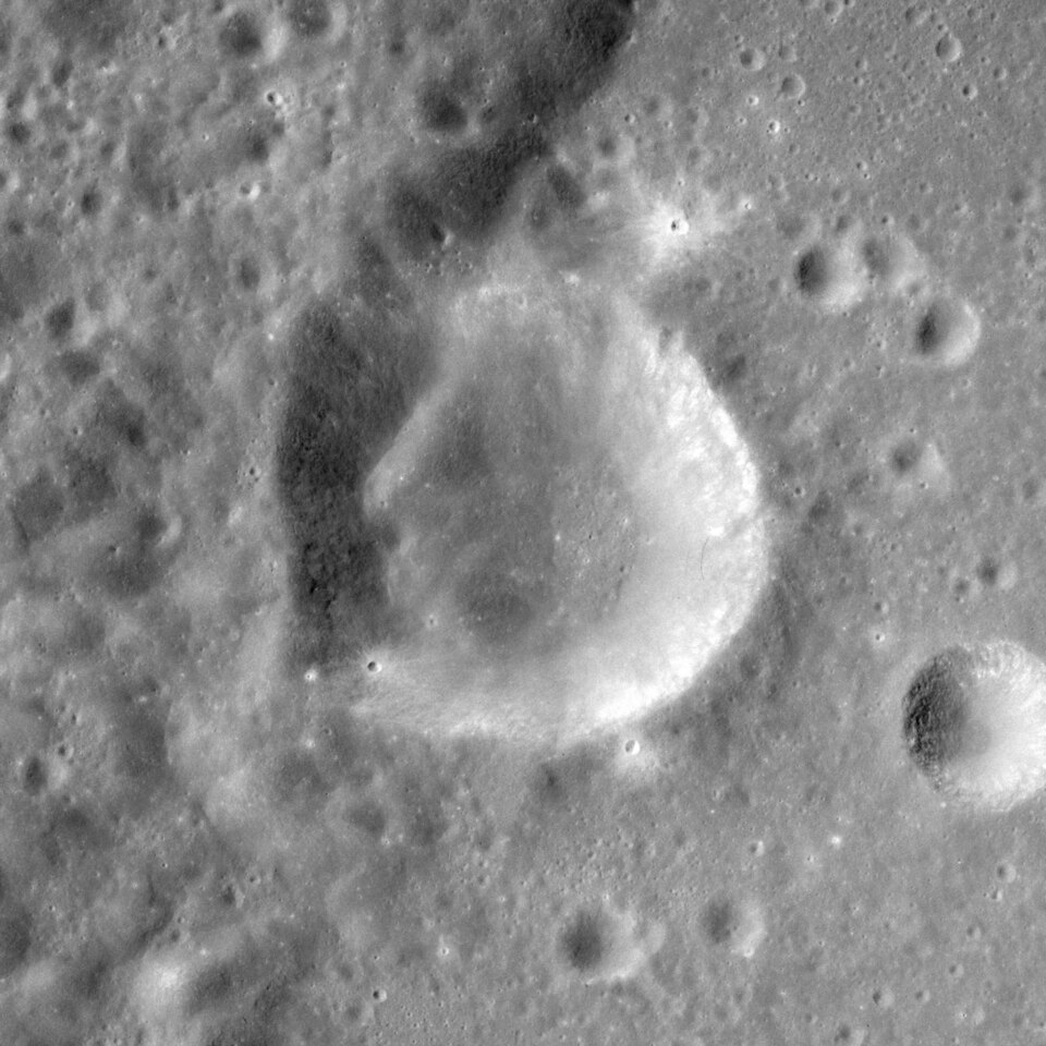 Bergman