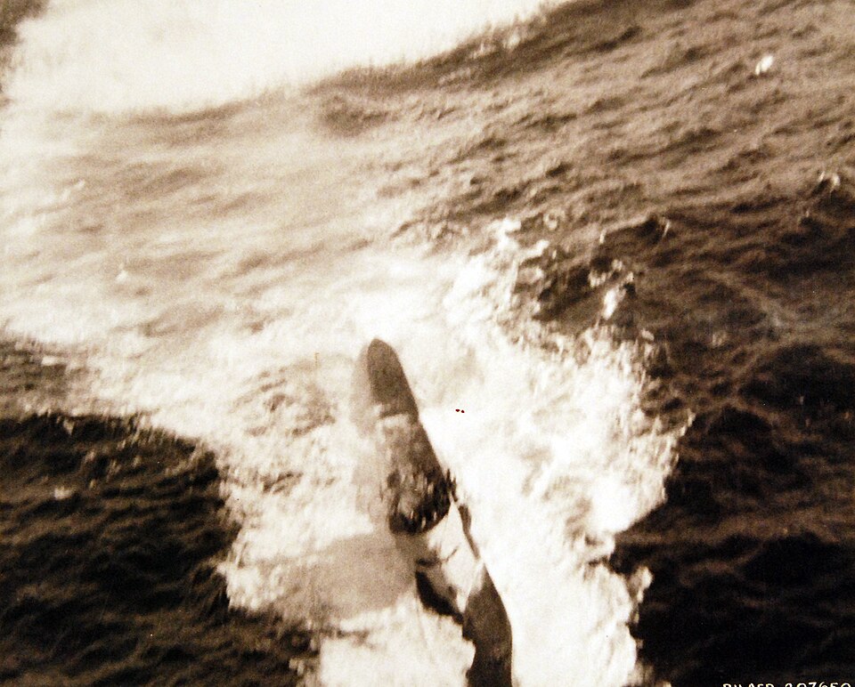 U-336