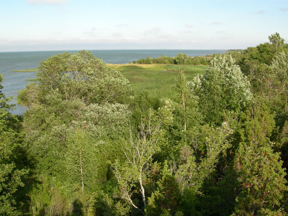 Muhu