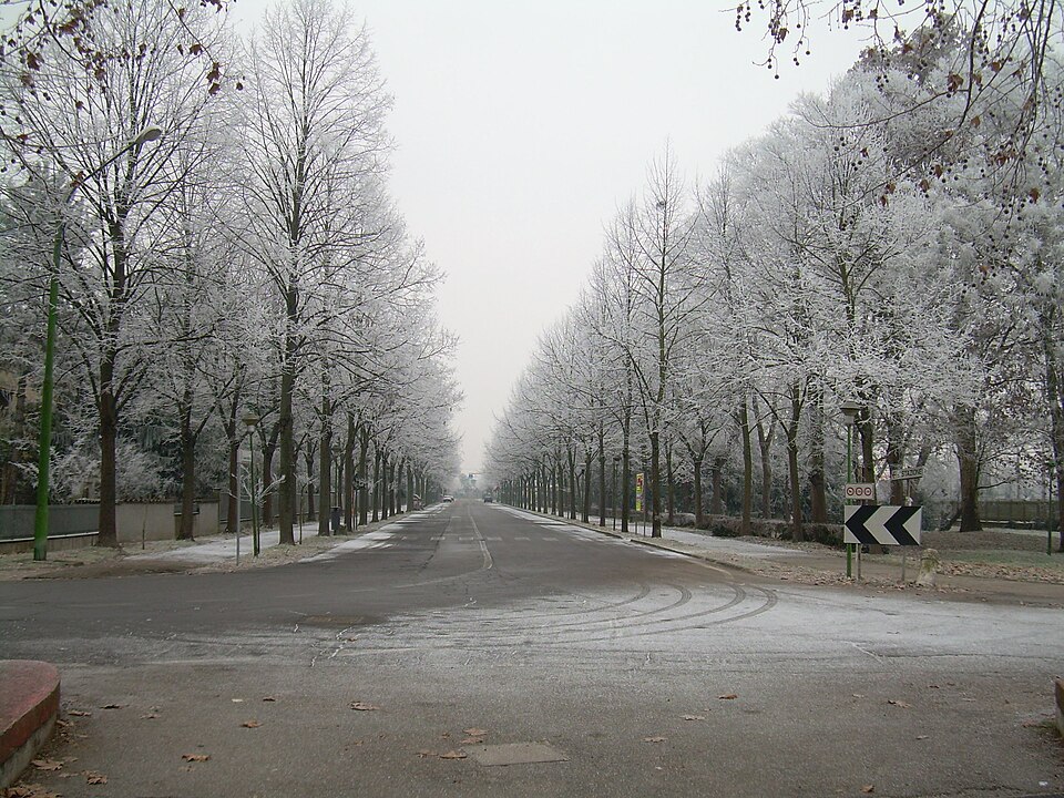Portomaggiore