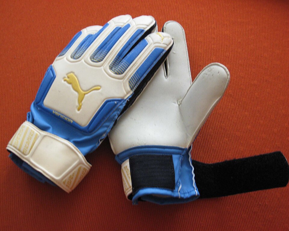 goalkeeper glove