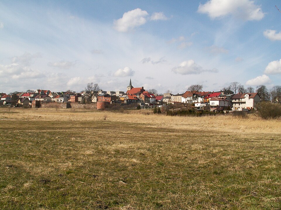 Gmina Skarszewy