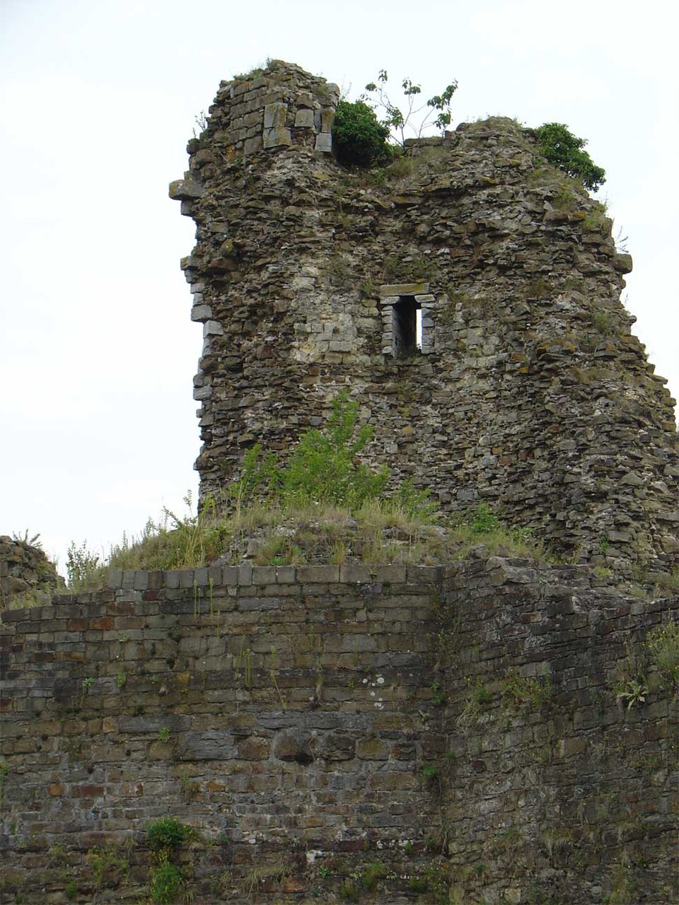 Montfort