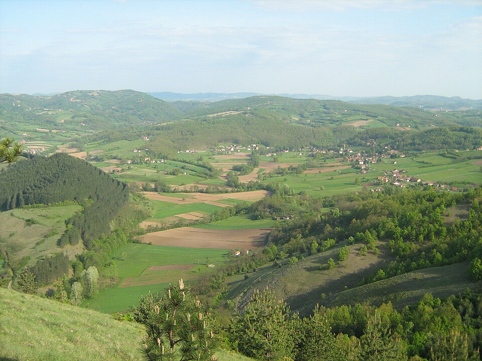 Šarani
