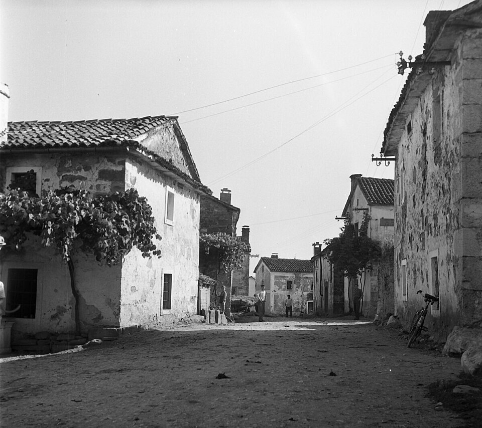 Javorje