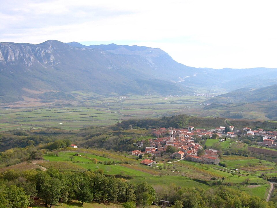 Goče
