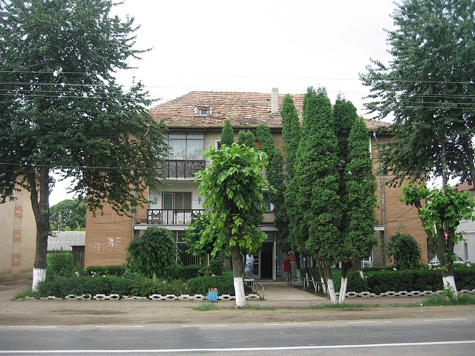 Ruginoasa