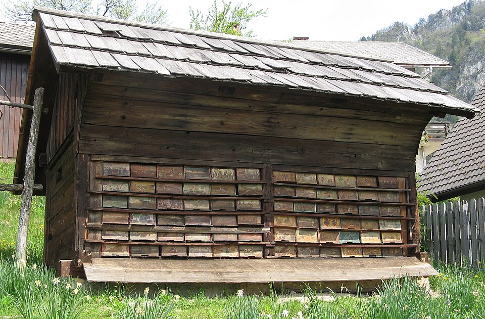 apiary