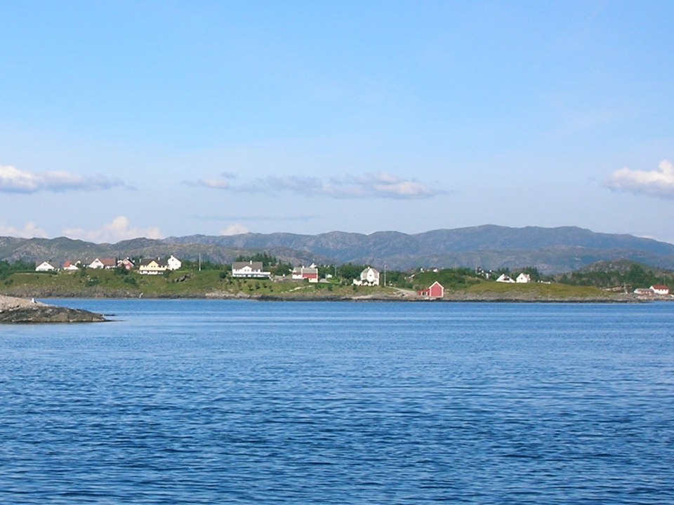 Byrknes