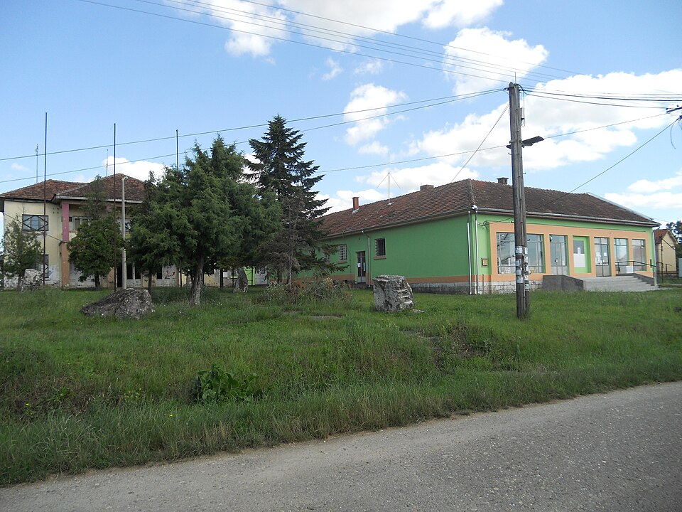 Jalovik