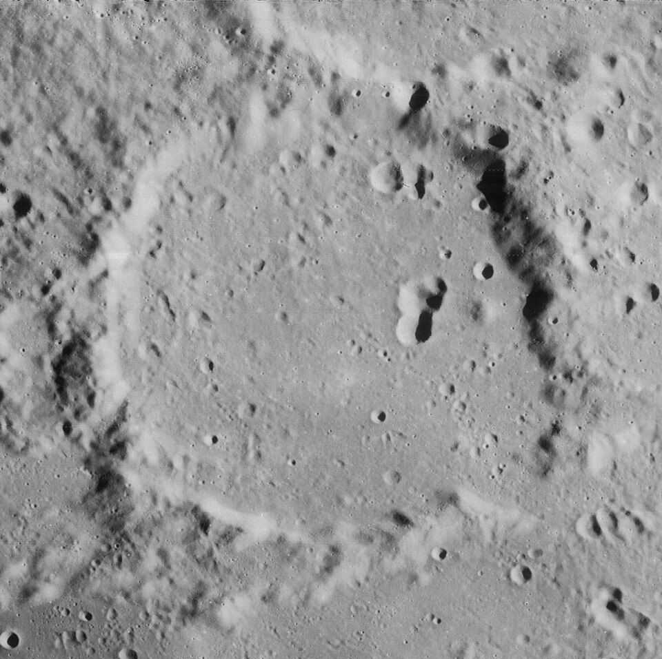 Oenopides