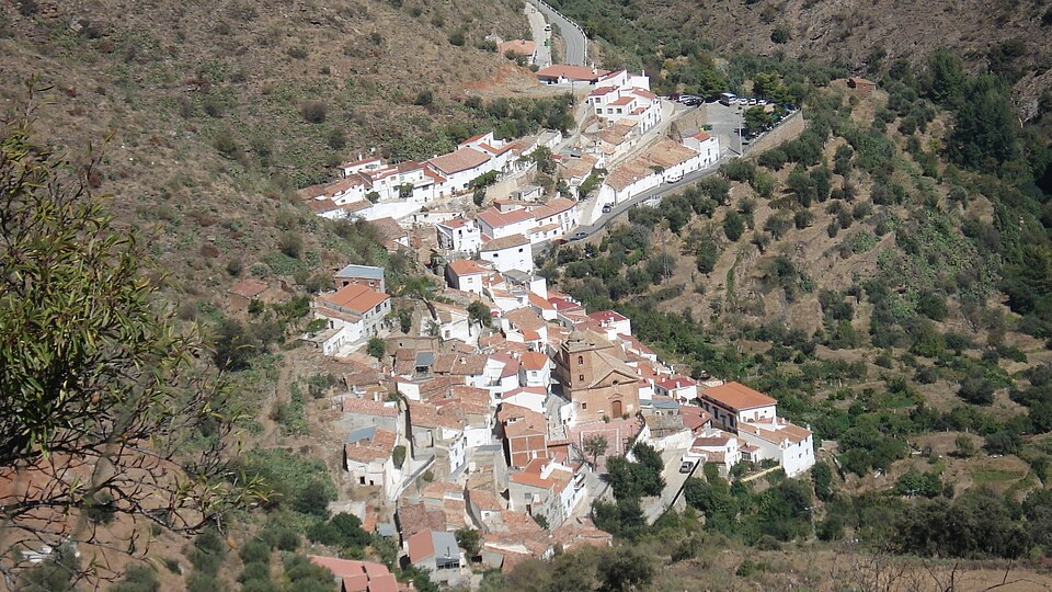 Laroya