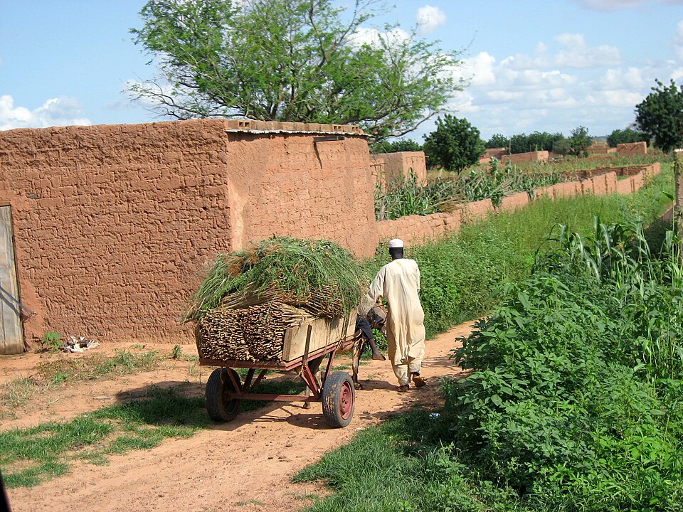 Dosso Region