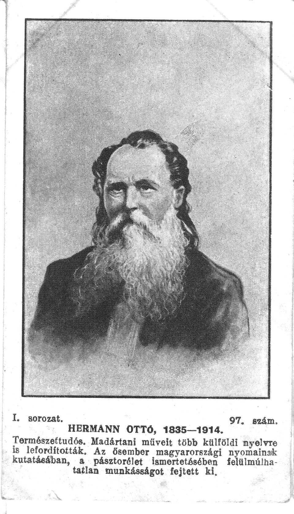 Ottó Herman
